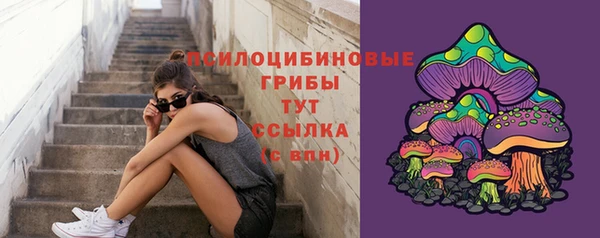 сатива Балахна