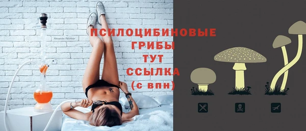 сатива Балахна