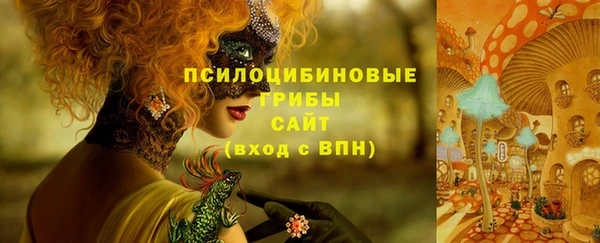 2c-b Армянск