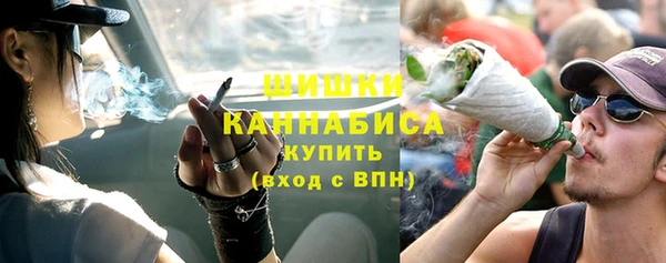 сатива Балахна