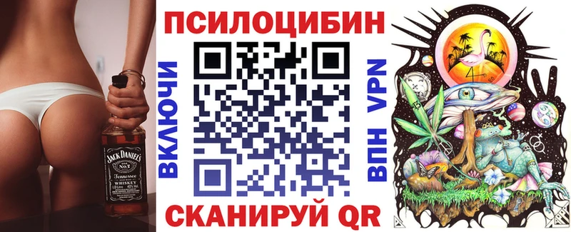 наркошоп  Мглин  Псилоцибиновые грибы MAGIC MUSHROOMS 